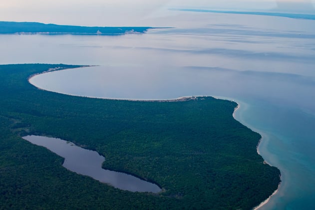 🌊 Goodbye Political Ads