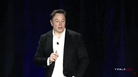 💈 Elon strikes again, this time in AI