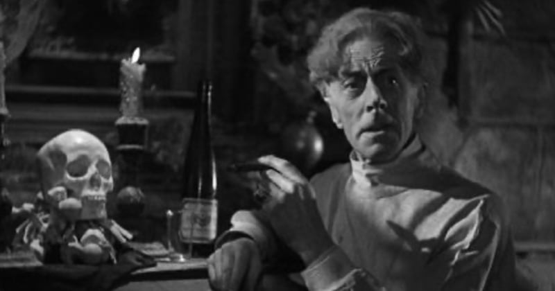 BEE DELORES'S 500 BEST HORROR MOVIES OF ALL TIME!