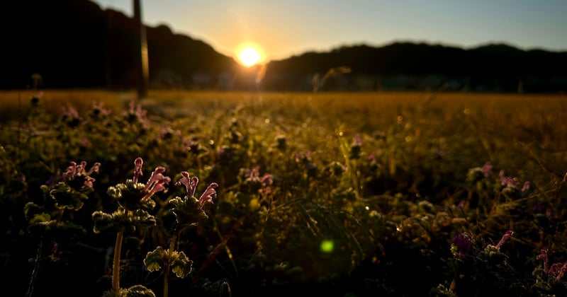 🇯🇵 Onto Kyushu and The Home Stretch