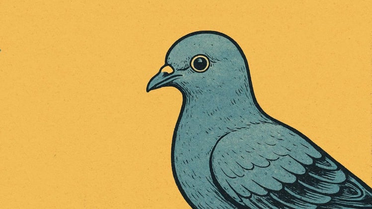 🕊️ Is 'light blue' the gayest colour in the world? 🕊️ 