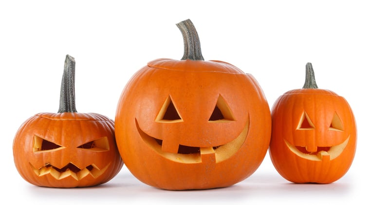 🍨 $500 dog prizes, free vet breakfast, and where your dead pumpkins go