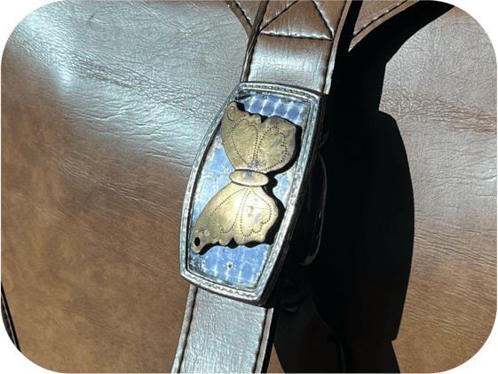 LETTER 4: The Butterfly Buckle Story