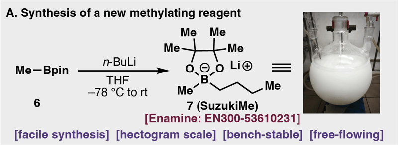 Magic Methylation