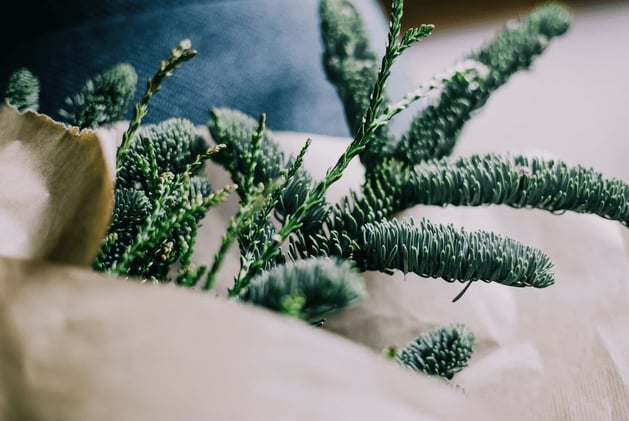 When Gifts Become a Trap