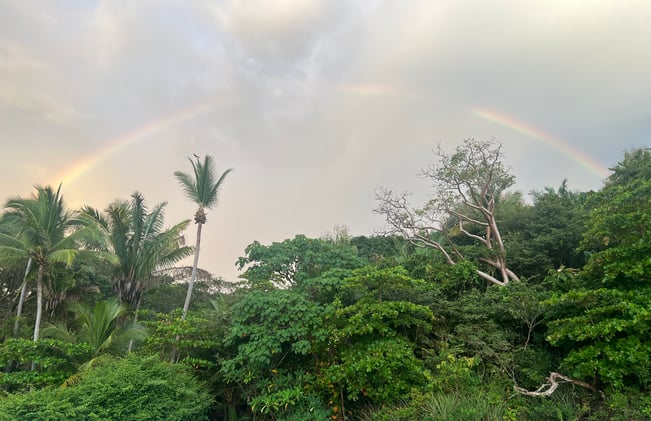 How to disrupt your patterns