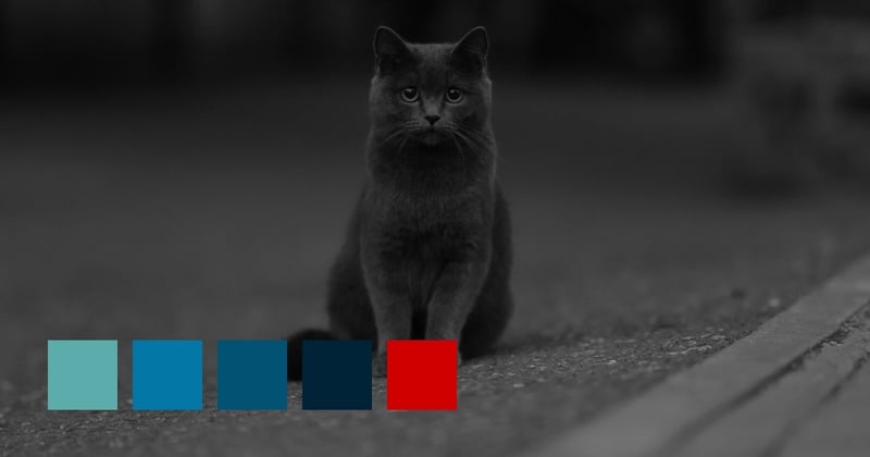 His Friends Called Him Midnight