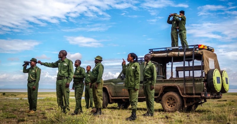 Opinion: How professionalising ranger work can strengthen conservation