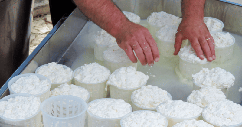 🧭 Is Fife the Secret Home of Scottish Cheese?