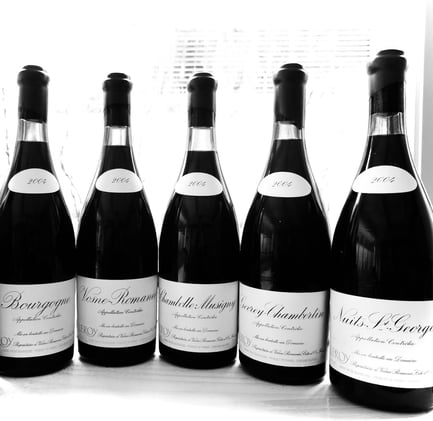 2004 Domaine Leroy Reds Retrospective