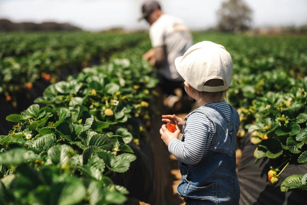 Head to Open Farm Days this weekend
