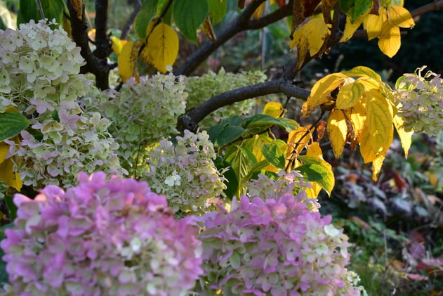 The Internet as a Garden, not a Cage