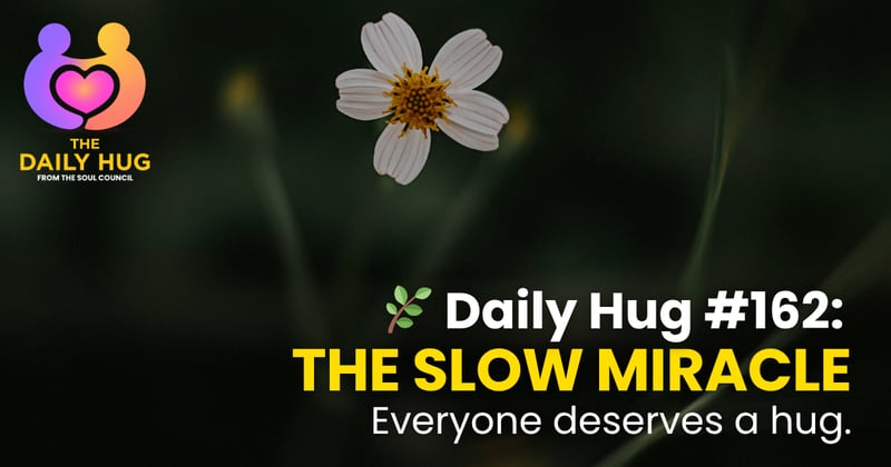 🌿 Daily Hug #162: The Slow Miracle