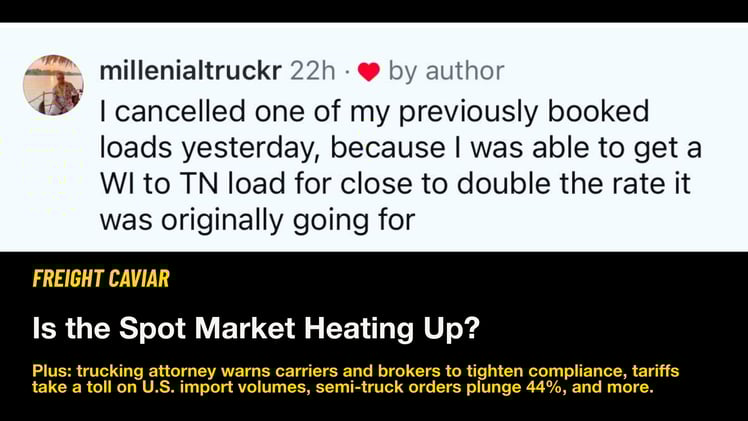 🎣 The Spot Market