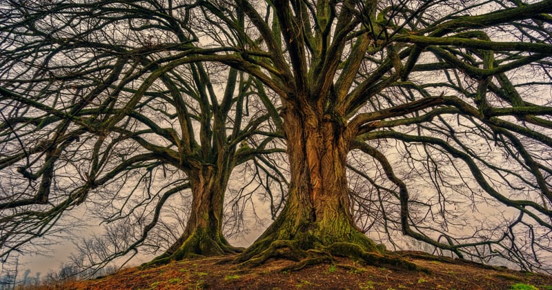 Belki de Sınır “Hayır”dan Önce Başlıyordur.
