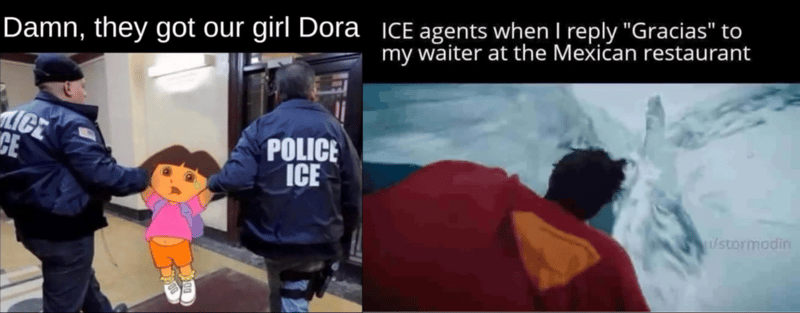 Unhinged: Why everyone's obsessed with ICE Arrest
