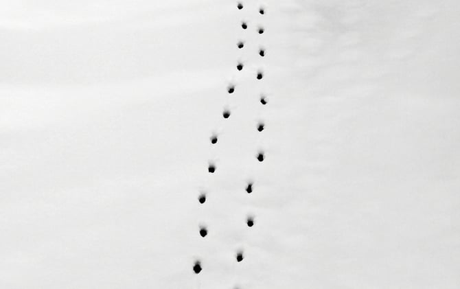 An ode to solitude and tools to honor the Winter Solstice.