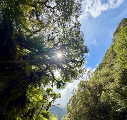 Anything & Everything