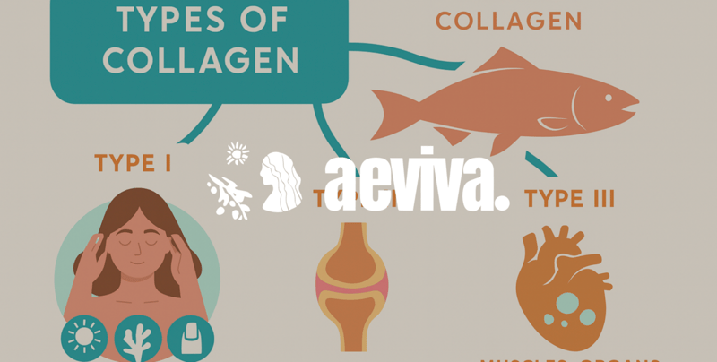 I Took Collagen for 6 Months. Here’s What Actually Changed