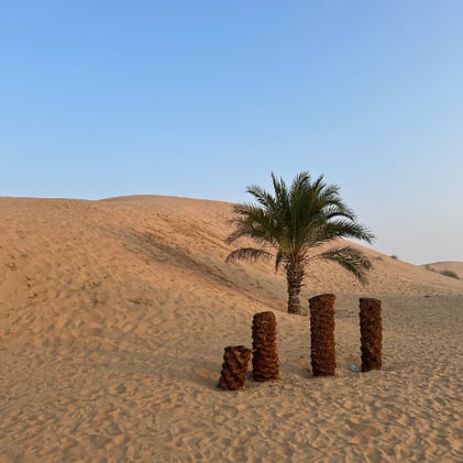 Things You Don’t Know About Me