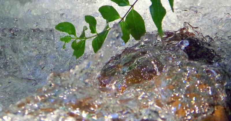 La sorgente del mondo