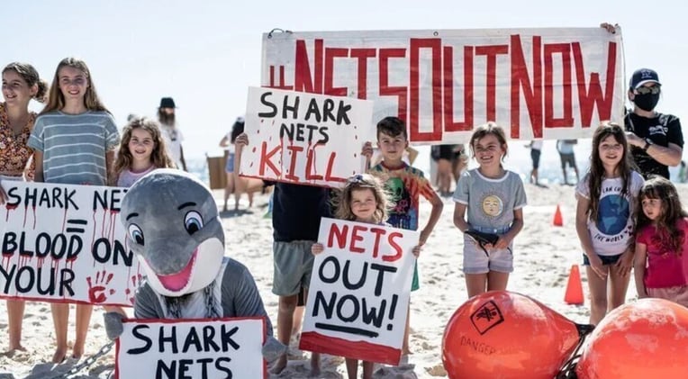 Newsport Alert Wednesday 04 June 2025