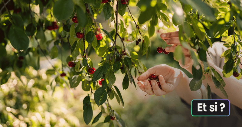 Comment les forêts gourmandes se développent en France