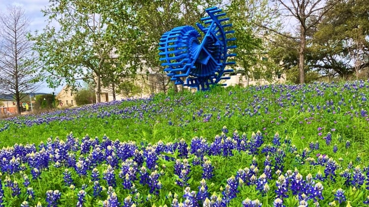 👉Bluebonnet Guide + Miss Constance Retirement + Shoe Drive