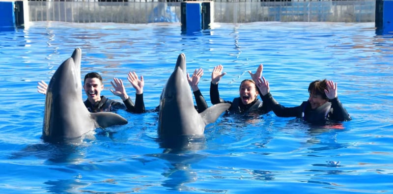 ⭐ Save Marineland?, Schools Earn "A", SSA Benefits up 2.8%, An Aston Martin Condo?