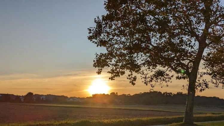 This Morning's Bulletin — 10.22.25