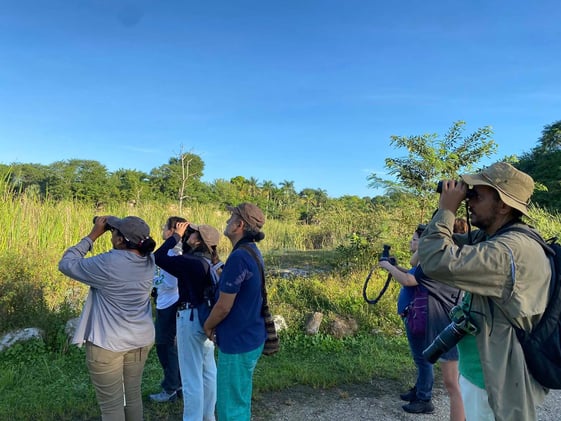 Y las redes no dejan de tejerse