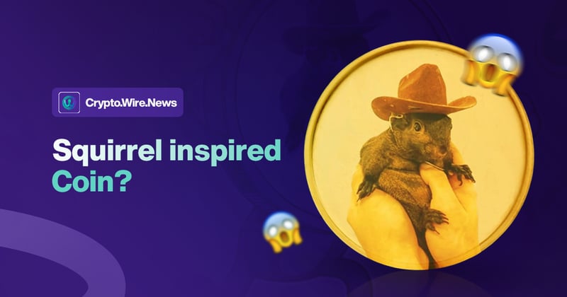 Trump’s Crypto Pivot and... Squirrel Coins?