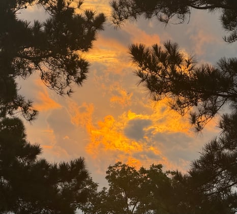 This Doesn’t Look Like Winning