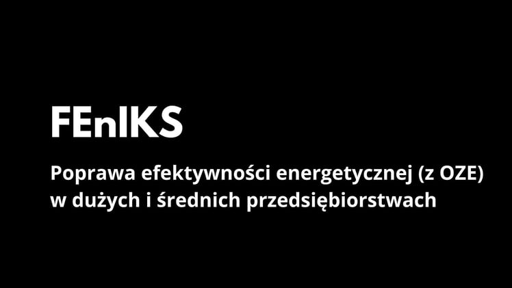 Poprawa EE (wraz z OZE) w dużych i średnich przedsiębiorstwach