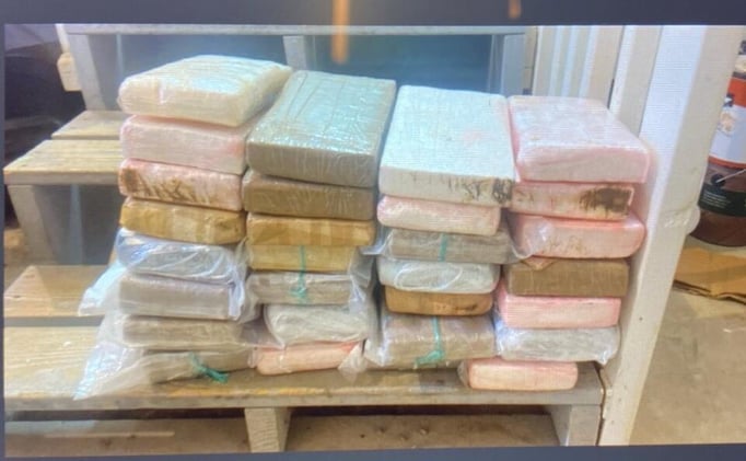 Woman Sentenced to 11 Years for Using Truckers to Move Cartel Drugs