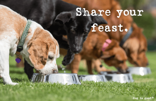 Share your feast.