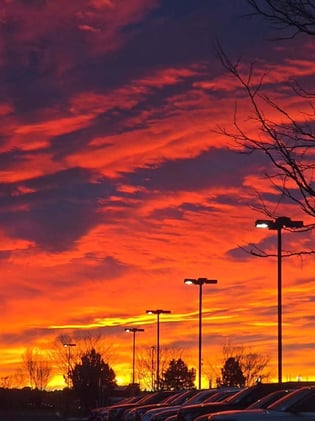 🤠 Sunny Days, Twinkly Nights & Holiday Hustle 🎄☀️