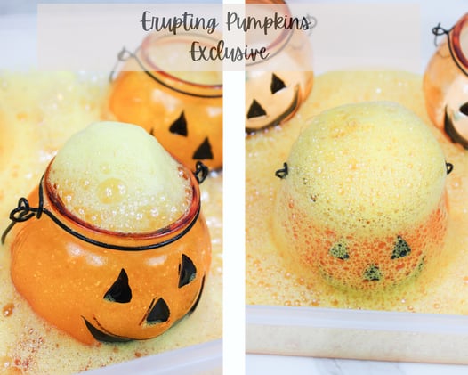 Erupting Pumpkins With Video! {Exclusive} SOLD