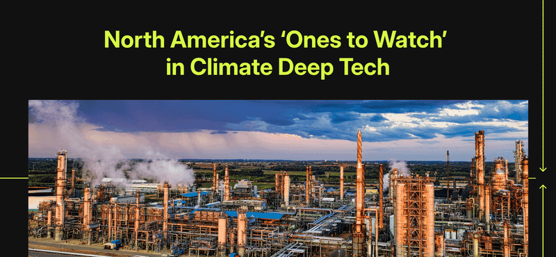 🎯 75 Top-Tier North American Startups