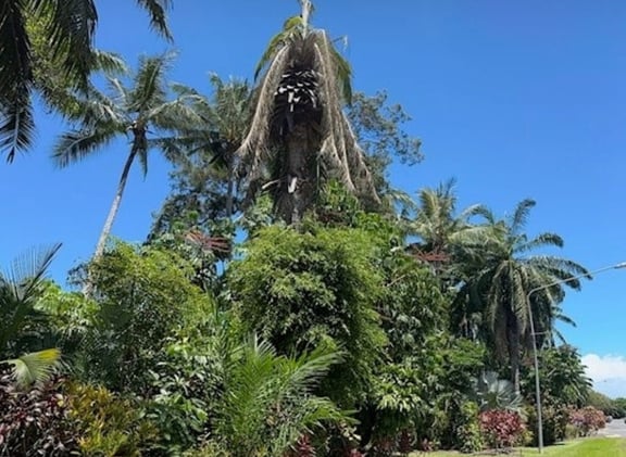 Newsport Alert Tuesday 16 December 2025