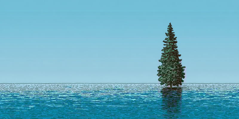 The topics that choose you