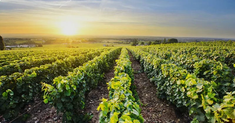 Rates Hit A Low. War Sent Them Back Up