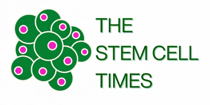 PRP Isn’t a Schedule. It’s a Decision.