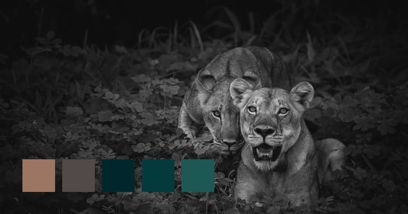 Chobe National Park, Botswana