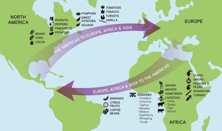 5.2 - Settlement Patterns and Survey Methods / 5.3 - Agricultural Origins and Diffusions