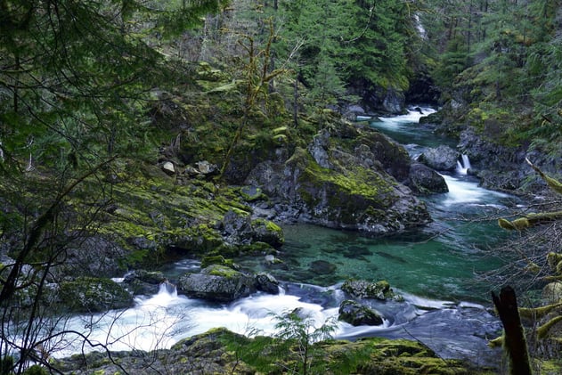 The Little North Santiam River 
