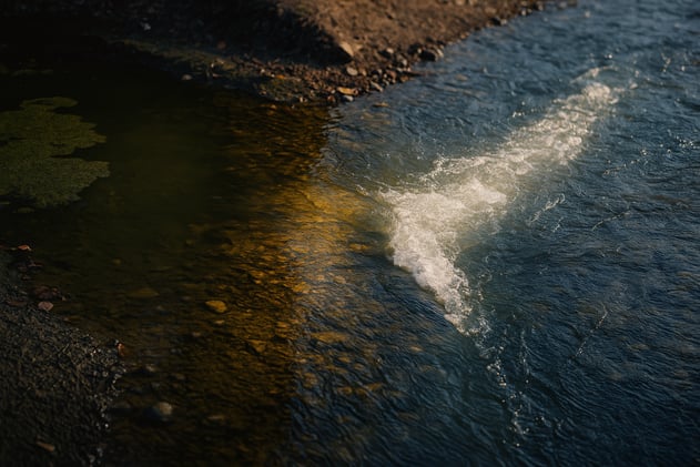 Sua alma é rio ou poço estagnado?