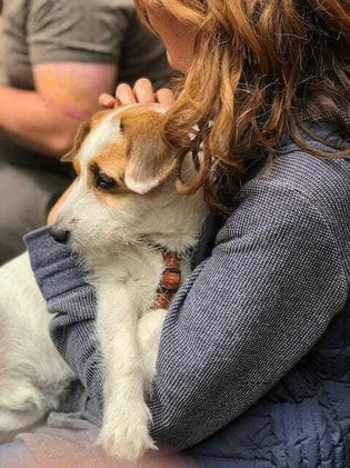 Pawsitive Effects -The Therapeutic Benefits of Petting and Interacting with Pets