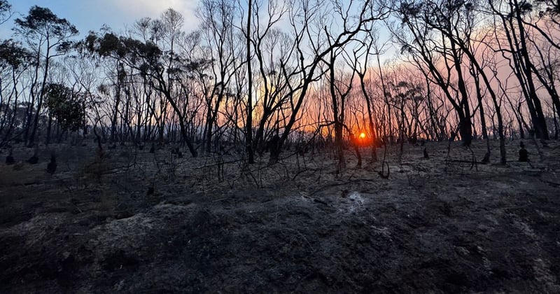 Otways bushfire has doubled in size since Saturday to 11,000 hectares, officials say