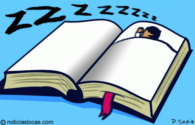 Un nuevo albergue-librería permite dormir entre libros